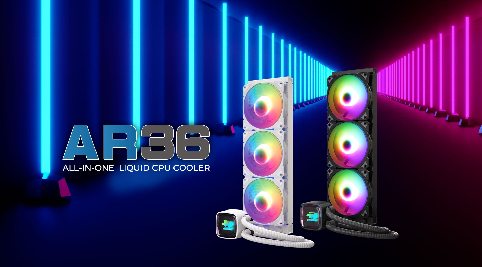 AR36